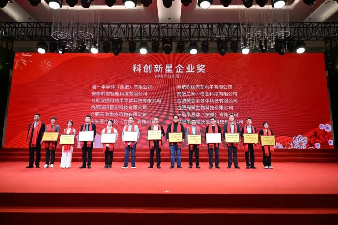 凯时尊龙人生就是博电子荣获2025年度合肥经开区“科创新星企业奖”